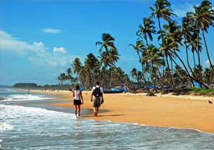 Beaches of Goa Tour
