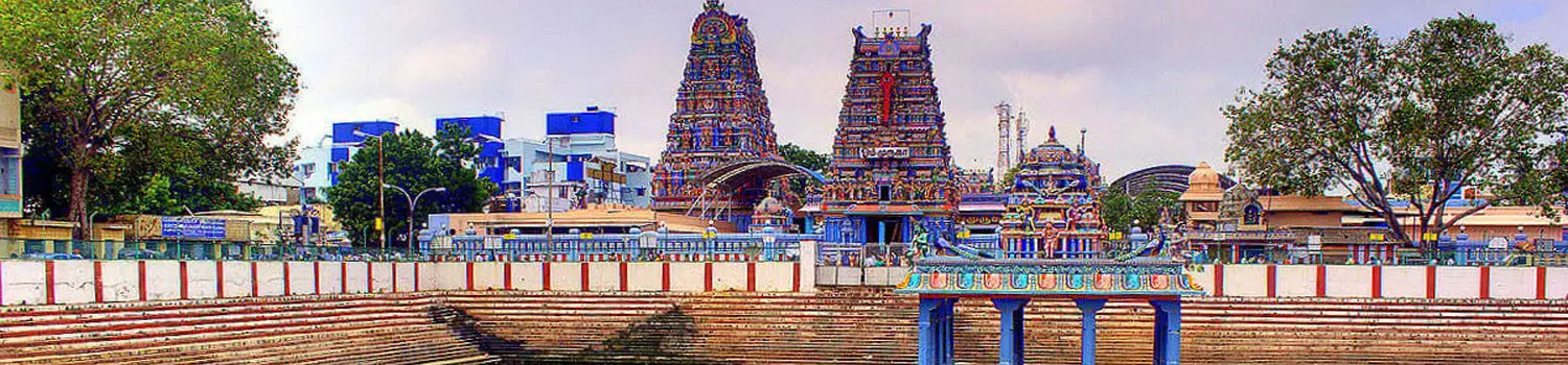 The Land of Temples Tour