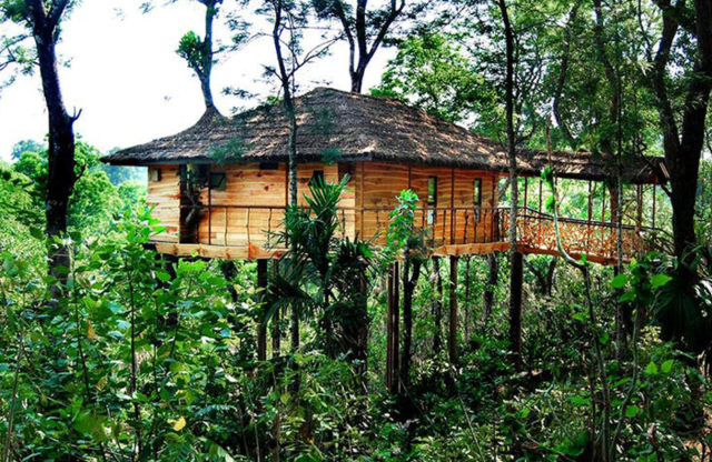 10 affection soaked tree houses in India -dreamy beauties - Travelsite ...